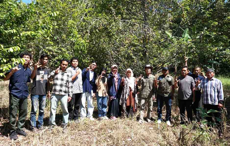 ITERA Identifikasi Potensi Pala di Desa Way Kalam untuk Dorong Ekonomi Masyarakat