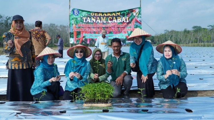 Pemkab Tubaba Kembangkan Smart Farming Cabai Bersama BI, Tingkatkan Produktivitas Petani