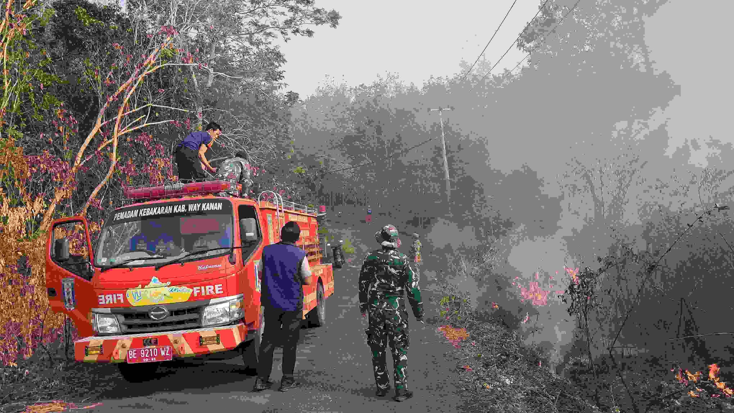Sinergi Babinsa dan Damkar Jinakkan Titik Api di Way Kanan, Letkol Sigit Windarto Tegaskan Larangan Bakar Kebun