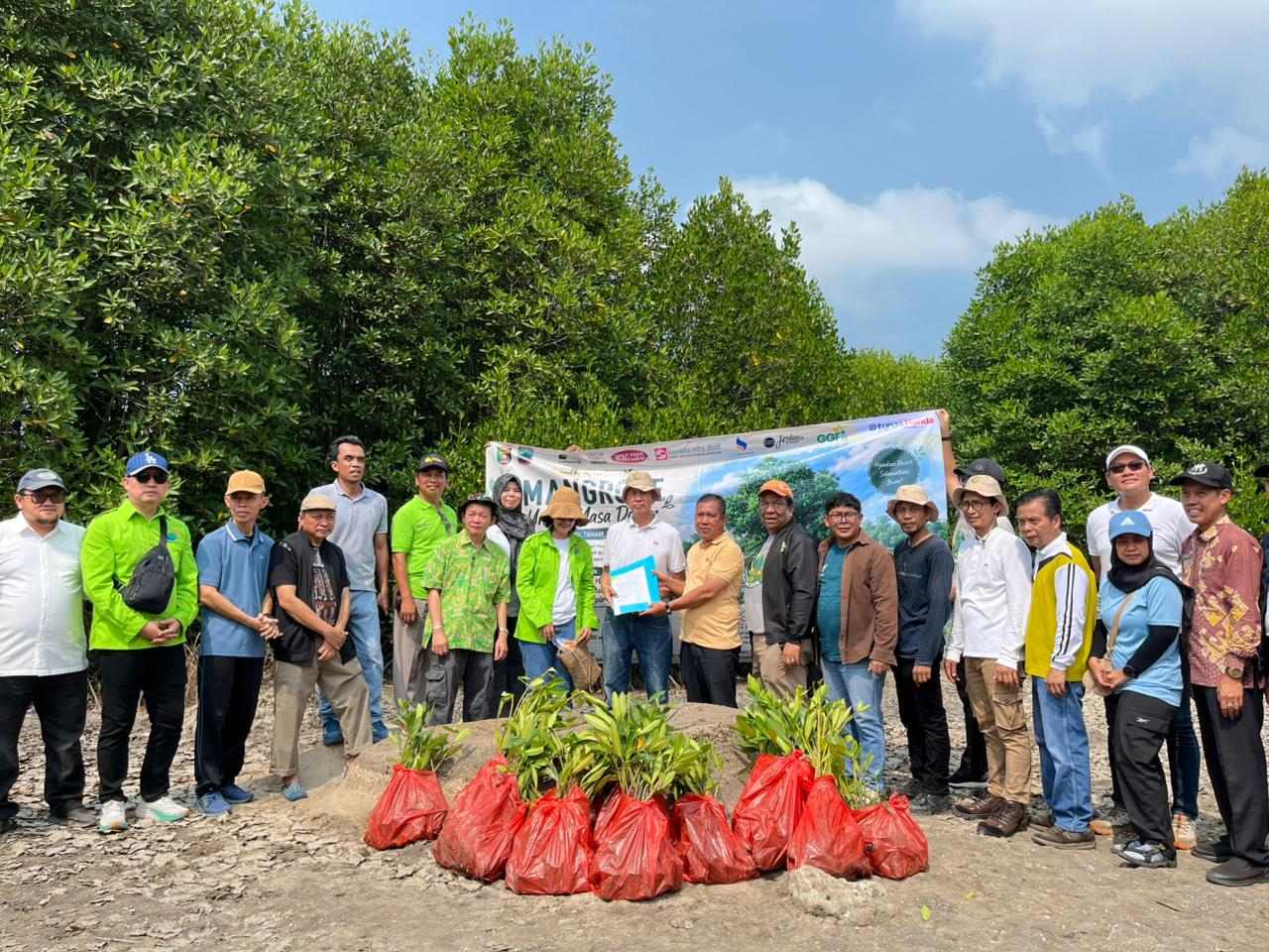 Gotong Royong Hijau, Forum CSR Lampung Tanam Mangrove di Way Lubuk dan Merak Belantung