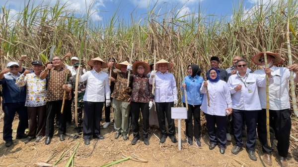 Panen Tebu Register 44 Kembali Digelar, Harapan Ekonomi Masyarakat Way Kanan Bangkit